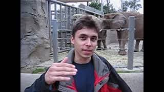 Replace with customer or designer feature — video thumbnail