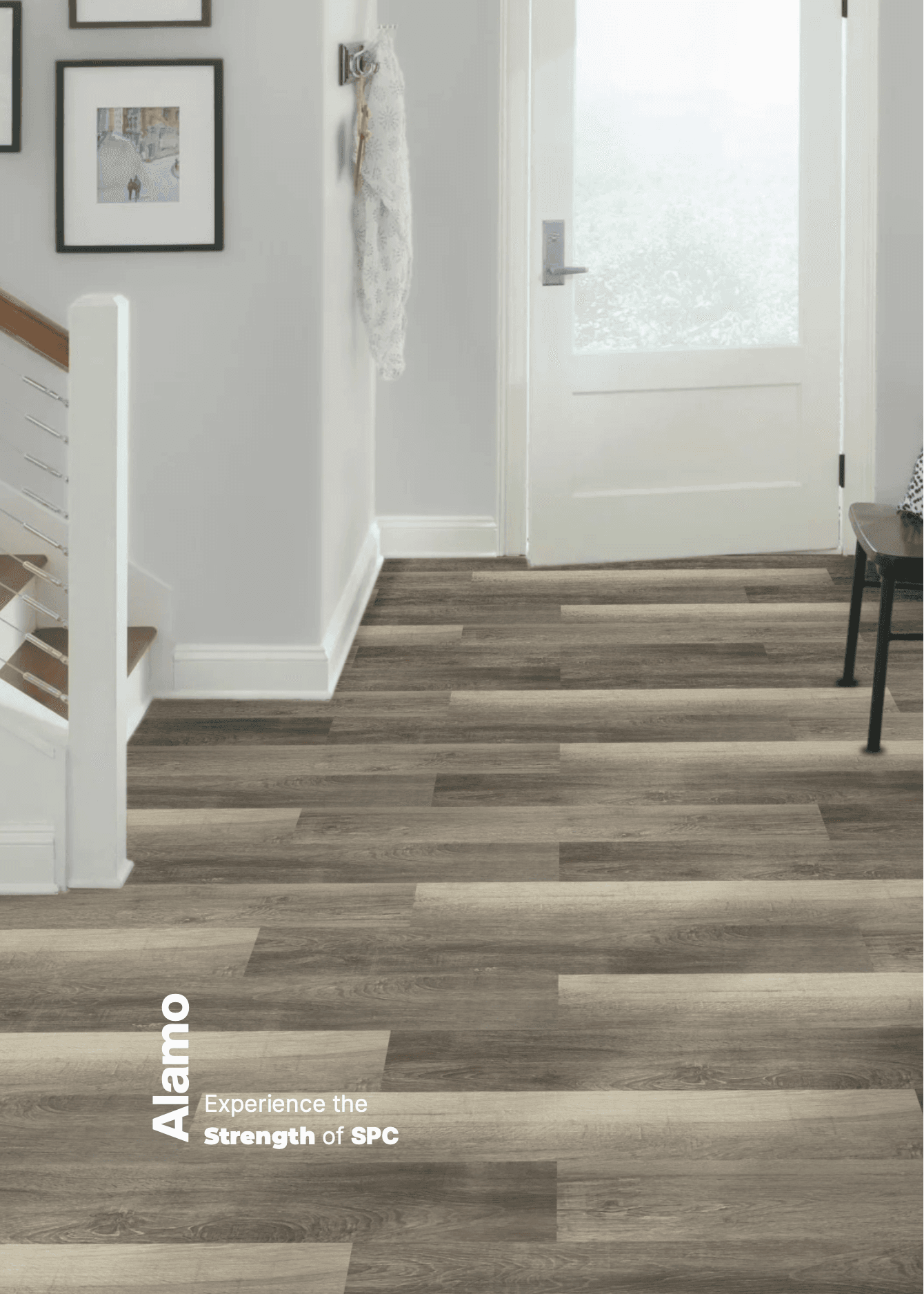 Alamo — Color thumbnail 2