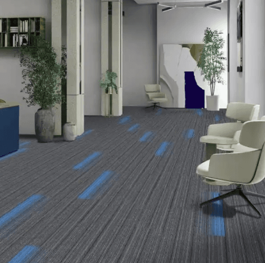 TC 01 Grey | TC 02 Blue