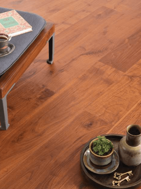 American walnut light