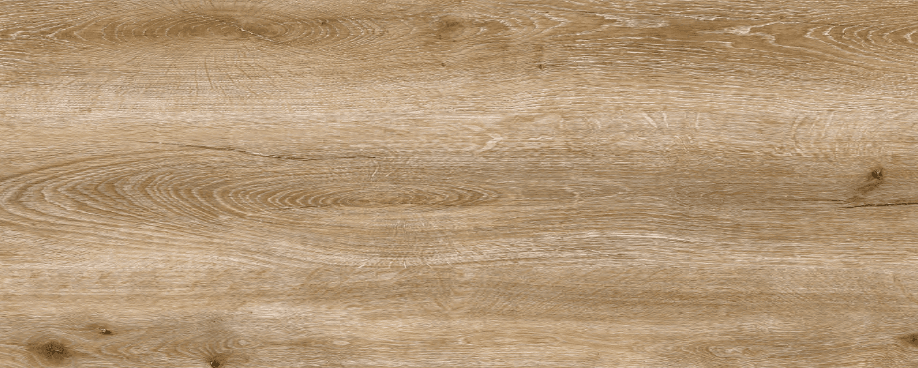 17021 Golden Sand Dark