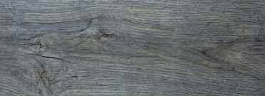 Conifer Plus — Color thumbnail 2