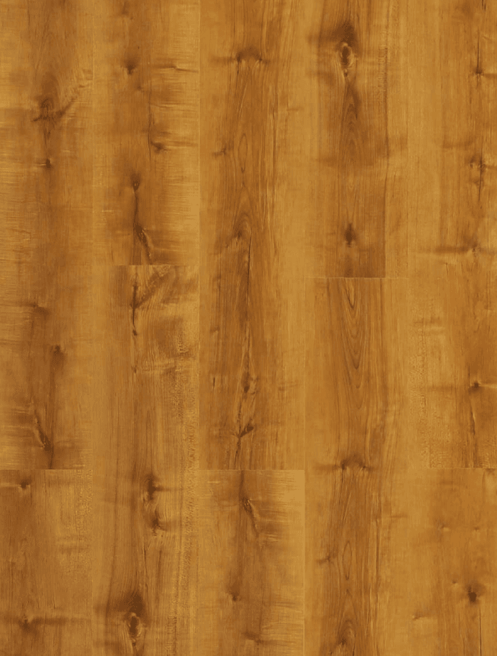 Majestic Blanche Oak