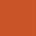 JP-2021 Dark Orange