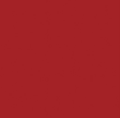 JP-2011 RED