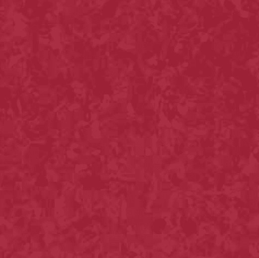 6304