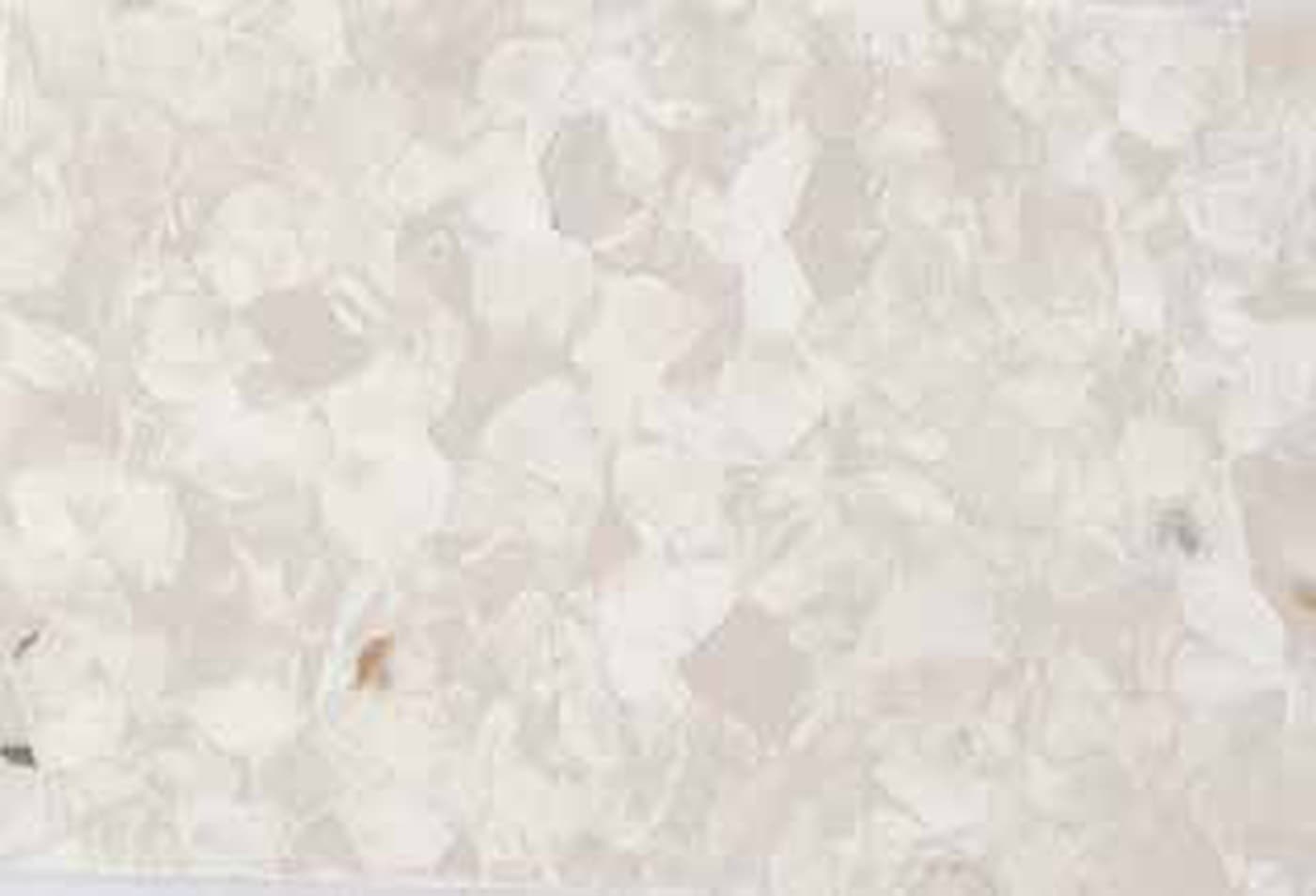 2084–Cream