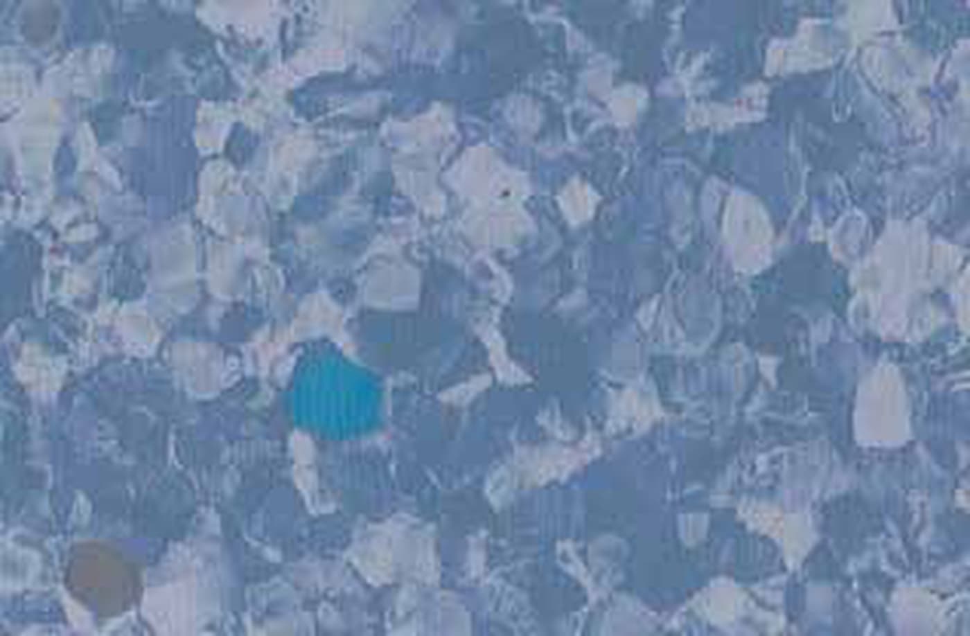 2082 Ocean