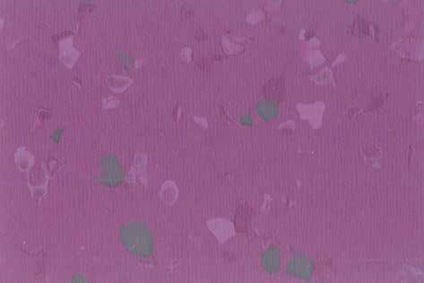 0046 – Violet